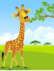 Photo sur Plexiglas Zoo girafe mangeant une feuille