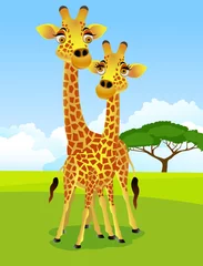 Cercles muraux Zoo couple de girafe