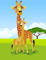 Mère et bébé girafe