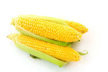 Corn isolated on white