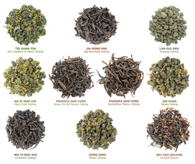 Isolated tea. Collection of famous chinese oolong teas isolated on white background, top view - obrazy, fototapety, plakaty