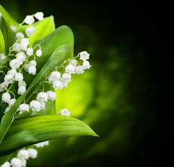 Lily-of-the-valley flowers design