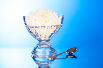 Cottage cheese  in bowl on blue background