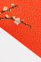 赤い千代紙と白梅