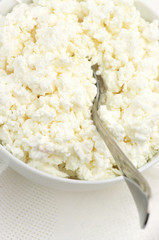 Cottage cheese close-up