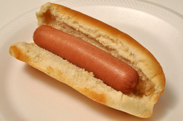 A Dog on a Bun