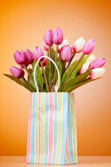 Tulips in the bag against gradient background