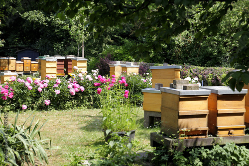 "bienenstöcke im Garten" Stockfotos und lizenzfreie Bilder auf Fotolia