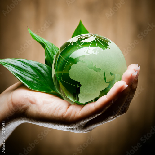 Ecologie Planete Terre Mains Wall Mural Wallpaper Murals Beboy