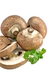 A selection of brown mushrooms on a white background