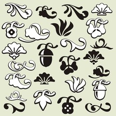 Exquisite Ornamental Design Elements