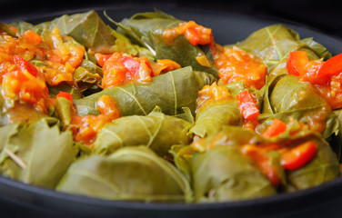 Dolma