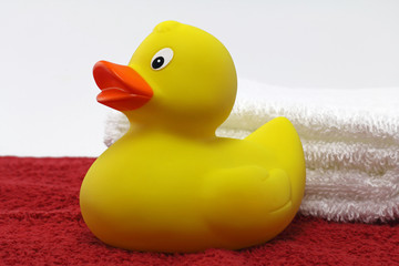 badetücher mit ente