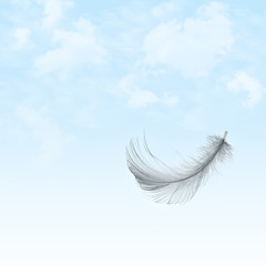Feather flying in cloudy sky