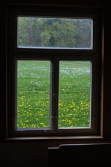 Fenster mit Blick auf eine grüne Wiese