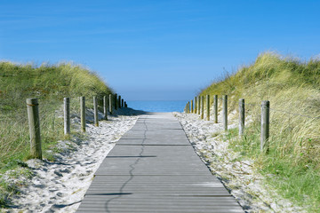 Fototapeta premium Weg zum Strand
