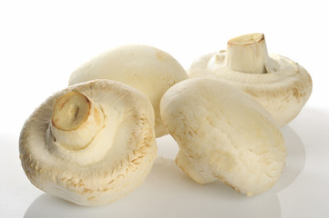 champignons