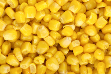 Food background: prepared corn grains