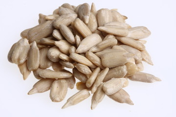 sonnenblumenkerne vogelfutter