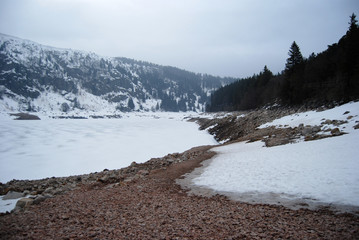 Lac Noir - vogesen