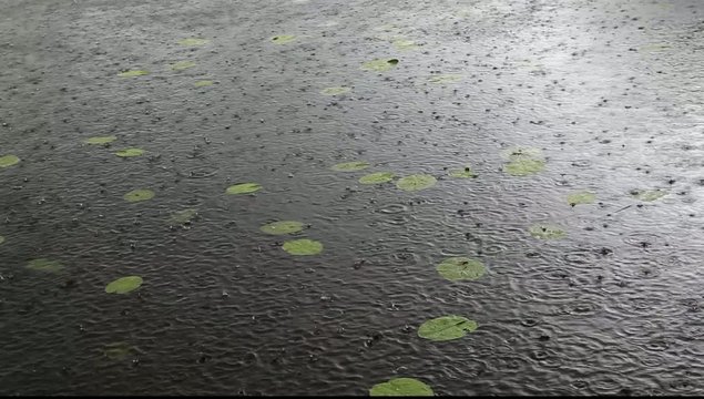 Regen  Gewitter See
