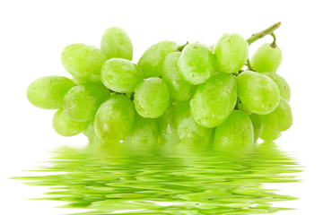 fresh green grapes with water reflection. isolated on white.