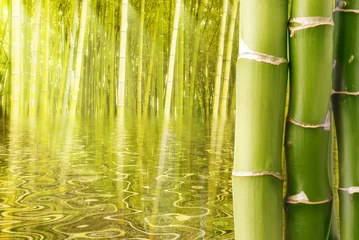 Papier Peint photo Bambou Ambiance asiatique avec des poteaux en bambou