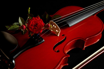 Violin with red rose