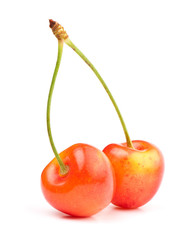 Sweet cherry