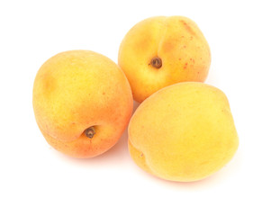 apricot