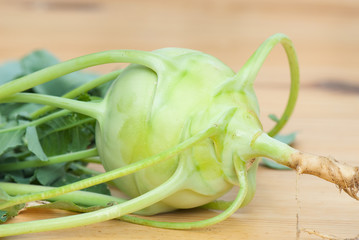 cabbage of kohlrabi