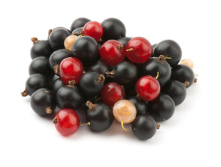 currant