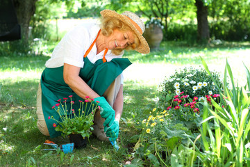 Gartenarbeit