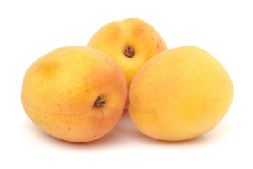 apricot