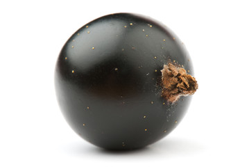 blackcurrant