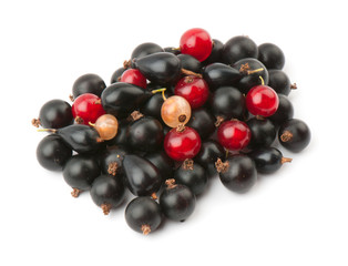currant