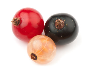 currant