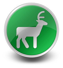 Green Glossy Icon 