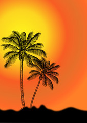 Tramonto Tropicale