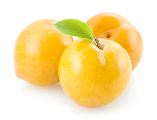 yellow plums