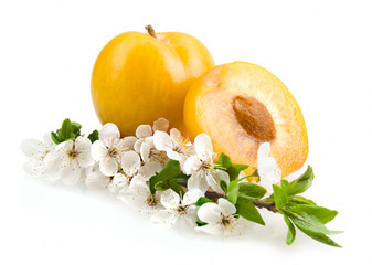 yellow plums