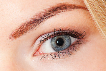 eye of beautiful young woman in studio