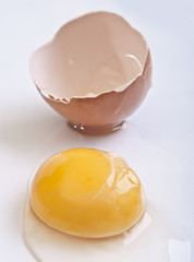 Broken egg