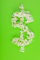 Dollar sign made of white white flowers