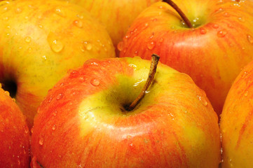 Äpfel