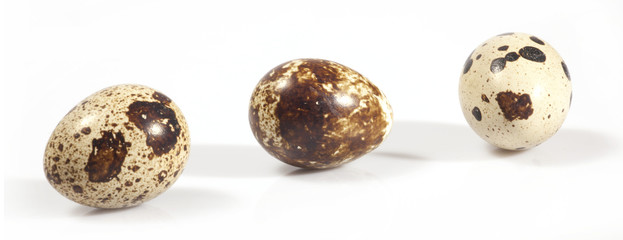 WACHTELEIER MIT SCHINKEN© Herby Meseritsch