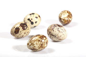 Obraz premium WACHTELEIER © Herby Meseritsch