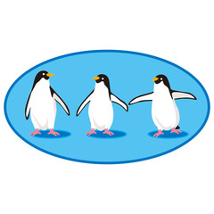 penguin