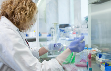 Fototapeta premium portrait of a female researcher doing research in a lab (shallow