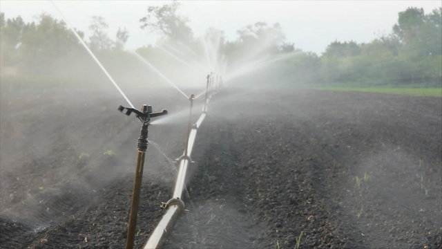 Irrigation of the field
